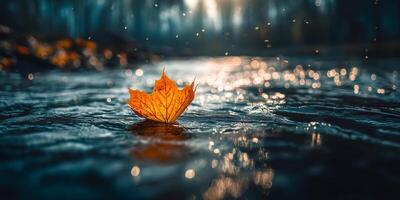Serene Autumn Scene with Floating Orange Leaf on Calm Water at Dawn in Enchanted Forest with Soft Bokeh Effects photo
