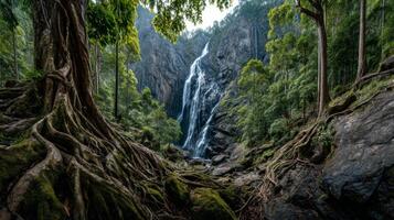 Majestic Waterfall Cascading Down Rocky Cliff Surrounded by Lush Green Trees and Robust Roots in Serene Natural Environment photo