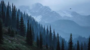 Misty Mountain Landscape with Pine Trees and Snow-Capped Peaks Under Cloudy Sky photo