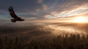 Majestic Eagle Soaring Over Misty Forest Landscape During Golden Hour at Dawn with Vibrant Sky and Rolling Fog photo