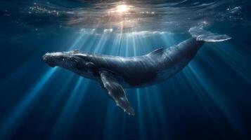Majestic Humpback Whale Gliding Gracefully Underwater with Sunlight Beaming Through Ocean Surface in Tranquil Marine Environment photo