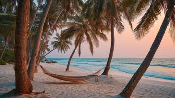 Tranquil hammock on serene beach under palm trees during sunset with gentle waves and beautiful sky in warm tropical paradise photo