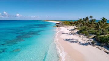 Serene Tropical Beach with Golden Sands and Clear Blue Waters Surrounded by Lush Green Palms on a Bright Sunny Day photo