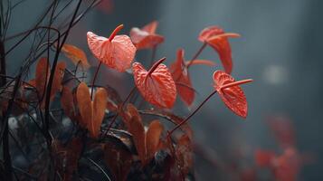 Vibrant Red Anthurium Flowers Surrounded by Lush Green Foliage in a Misty Forest Setting photo