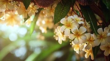 Beautiful close-up view of blooming yellow flowers with green leaves and soft sunlight in a serene natural setting photo