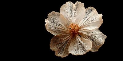 Delicate Floral Sculpture with Intricate Textures and Golden Highlights Against a Black Background photo