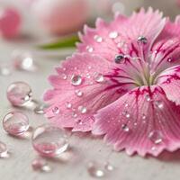 Dianthus flower with dew drops in a soft, romantic background, macro photography photo