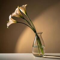 Elegant vase with white calla lilies illuminated by soft light photo