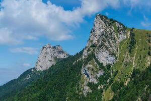 the mountain peaks are covered with green vegetation photo