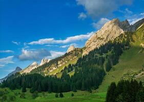 mountain landscape with green grass and trees photo