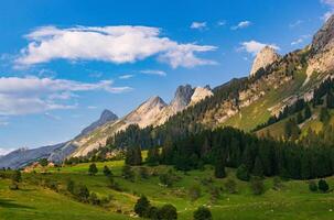 a beautiful mountain landscape with green grass and trees photo