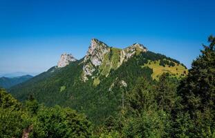 the mountain range in the background is covered in green trees photo