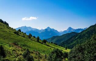 beautiful mountain landscape with green grass and trees photo