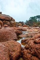 a rocky shore with red rocks and water photo