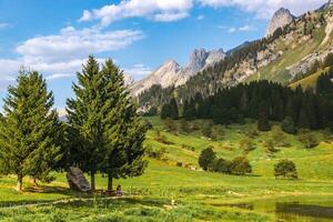 a beautiful mountain landscape with trees and grass photo
