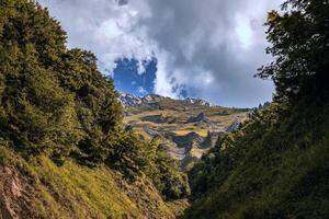 a narrow path leads to a mountain range with trees photo