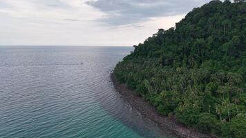 Drone footage capturing the contrast between lush jungle-covered mountains and the vast, serene ocean. video