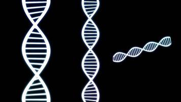 3 style of DNA glowing rotation on black background.DNA rotation overlay effect video