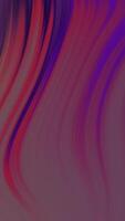 Abstract background with flowing red and purple curves video