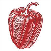 Fresh red bell peppers that look realistic against a white backdrop Art illustration vector