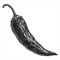 Icon of chilli peppers A basic graphic icon of a chilli pepper for the web vector