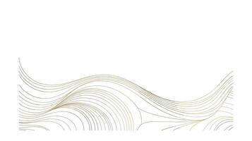Abstract golden wave lines on white background vector