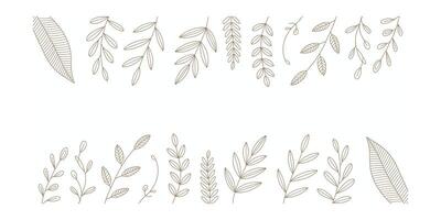 Elegant botanical frame with brown line art leaves vector