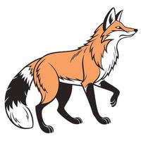 Cartoon illustration of a walking fox in a side view with orange and black colors vector