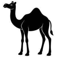 A silhouette illustration of a standing camel isolated on a pure white background for creative use vector