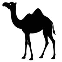 Elegant black silhouette of a camel standing against a clean white background for various uses vector