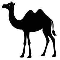 Elegant black silhouette of a standing camel isolated on a white background for design elements vector