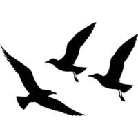 Silhouette illustration of three elegant seagulls soaring in flight against a clean white backdrop vector