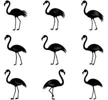 Elegant black flamingo silhouettes on a white background displaying various poses for decorative purposes vector