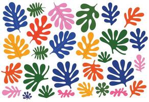 Colorful Abstract Leaf , Set, Modern Decorative Matisse Inspired Botanical Shapes for Print. vector