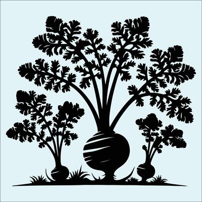 Simple Black Parsnip Silhouette for Food and Farm Designs