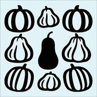 Black Butternut Squash Silhouette for Cooking and Vegetarian Design Concepts vector