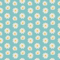 Seamless Daisy Pattern. Ornament with daisies for fabric swatches, scrapbooking, printing. botanical pattern on blue background vector
