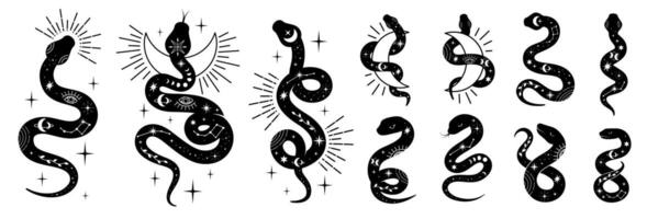 Mystical Snake Set. Magic Snakes with Moon, Stars and Esoteric Symbols vector