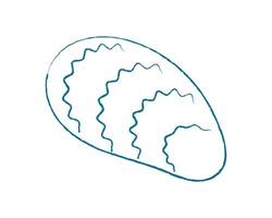 Chalk seashell doodle. Crayon seashell design. Underwater marine creature, ocean shape, texture, summer theme, suitable for childrens art, educational material, or aquatic projects. vector