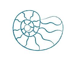 Chalk style seashell icon. Doodle of an aquatic creature. Marine life, ocean context, flat format, potential for summer projects. vector