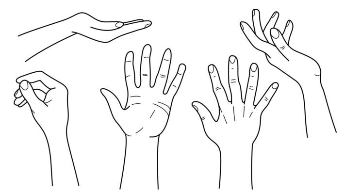 Hand Gestures and Women Palms Line Illustration Set