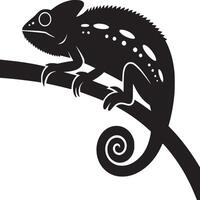 A black silhouette of a chameleon on a branch with a curled tail on a white background illustration vector