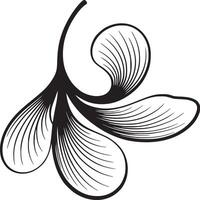 A black and white drawing of a stylized seed pod with three lobes and a curved stem on white background vector