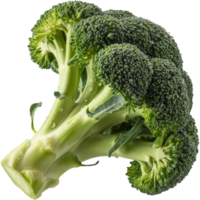 Freshly picked broccoli florets Image, Broccoli isolated on transparent background, Broccoli illustration png