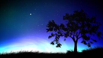 Night Sky And Tree Loop video