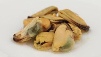 Variety of cooked mussels displayed on a white plate ready for tasting and enjoying video