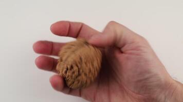 A hand holding a walnut in front of a white background video