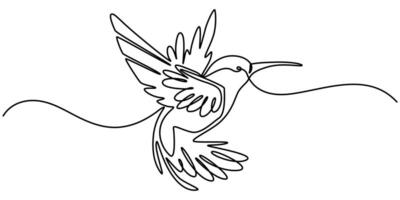 Continuous one line drawing of flying hummingbird, One line drawing illustration of colibri, Flying animal concept Single line, Hummingbird one line art design, Hand drawn illustration of hummingbird. vector