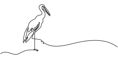 Pelican Continuous Line Drawing with Editable Stroke vector