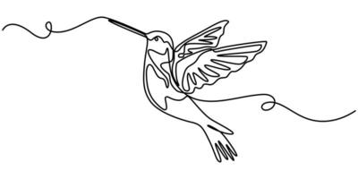 Continuous one line drawing of colibri, Humming bird, Abstract flying bird outline illustration. vector
